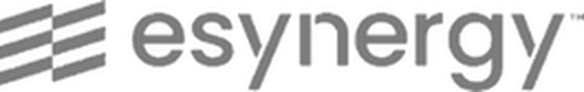 esynergy logo