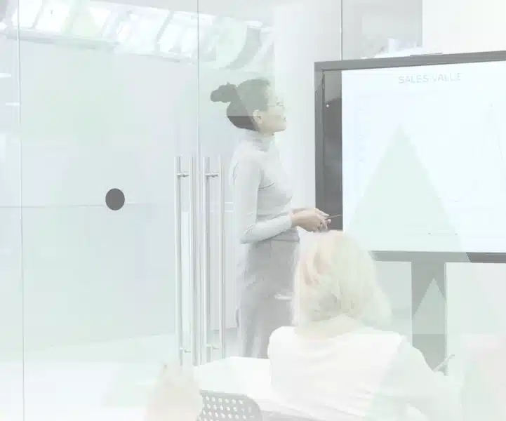 Consultant presenting project outcomes in a meeting room